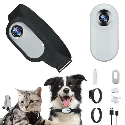 Dog Tracker/camera Collar HD